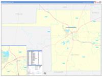 Tom Green, Tx Carrier Route Wall Map